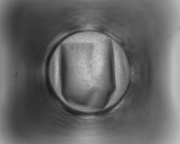 X0000088130200200706041955