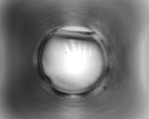 X0000088130203200706041955