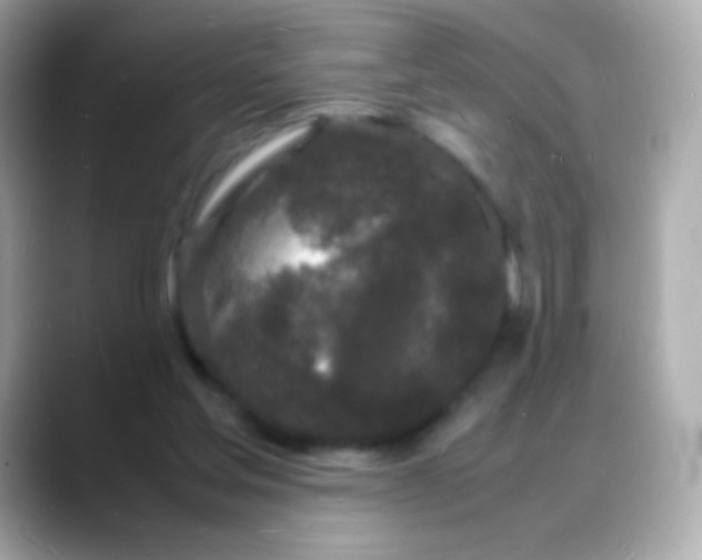 X0000088130205200706041955