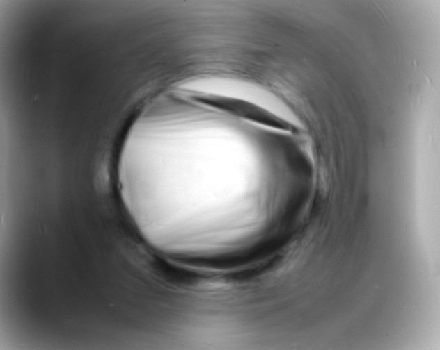 X0000088130207200706041955