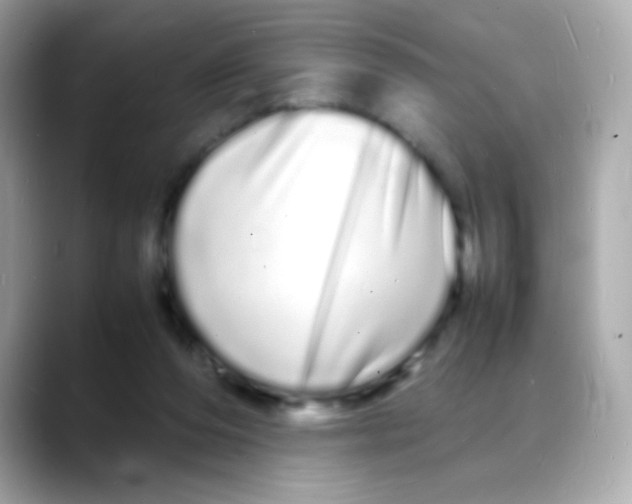 X0000088130208200706041955