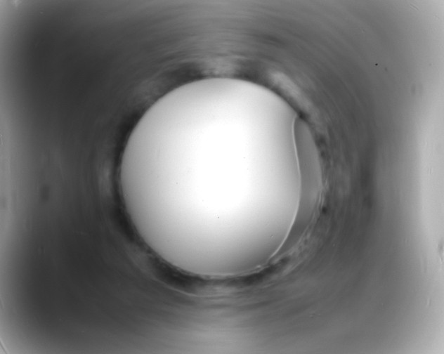 X0000088130209200706041955