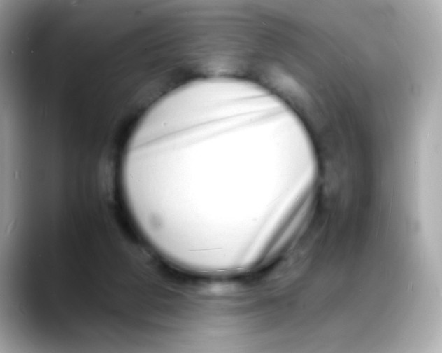 X0000088130210200706041955