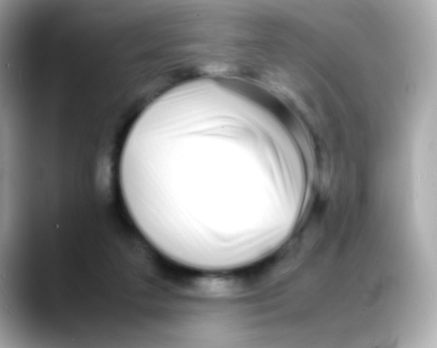 X0000088130211200706041955