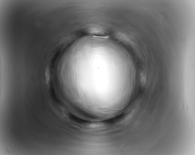 X0000088130215200706041955