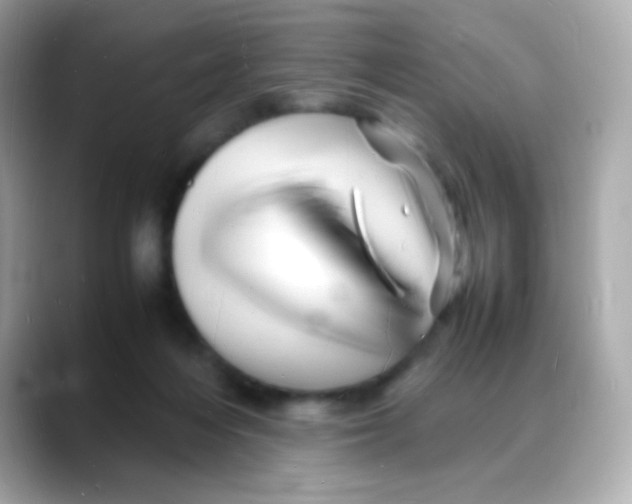 X0000088130216200706041955