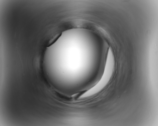 X0000088130217200706041955