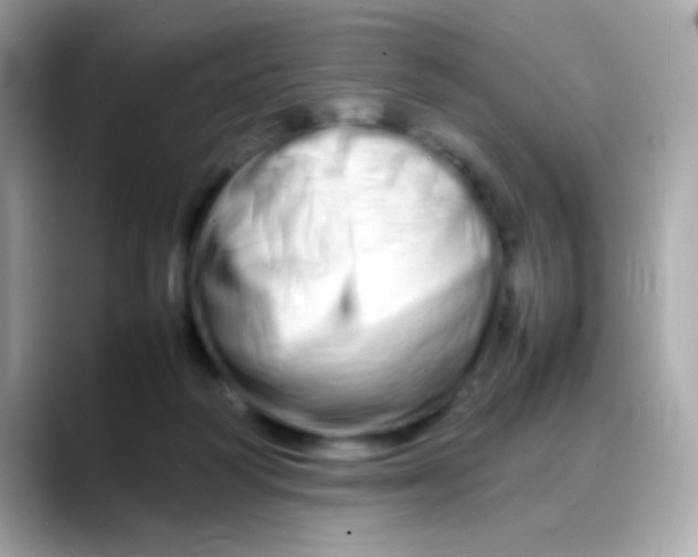 X0000088130218200706041955