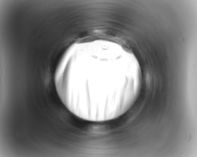 X0000088130220200706041955