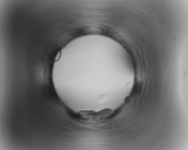 X0000088130223200706041955