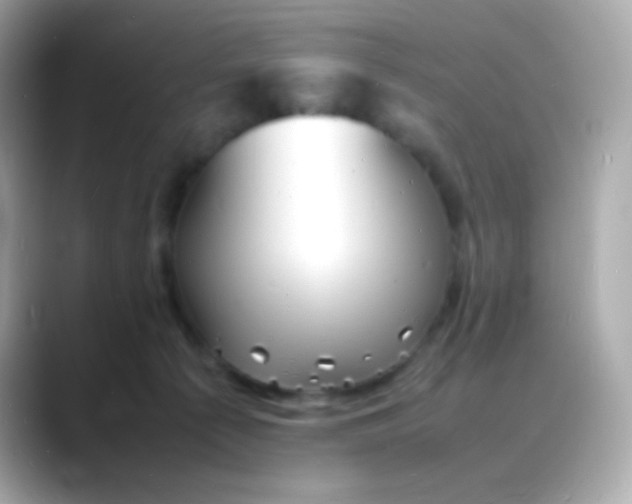 X0000088130225200706041955