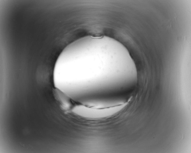 X0000088130229200706041955