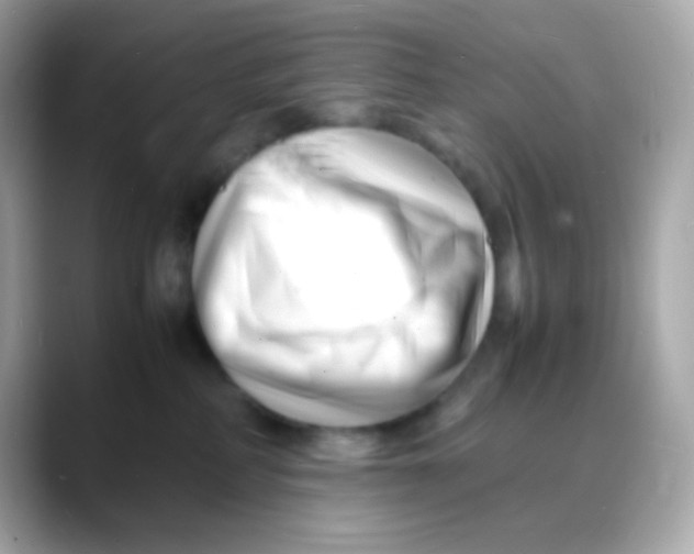 X0000088130234200706041955