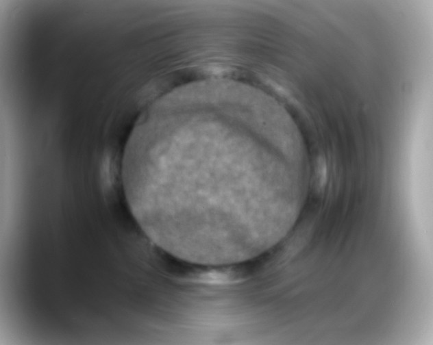 X0000088130236200706041955