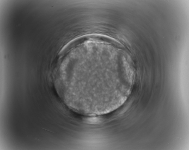 X0000088130237200706041955