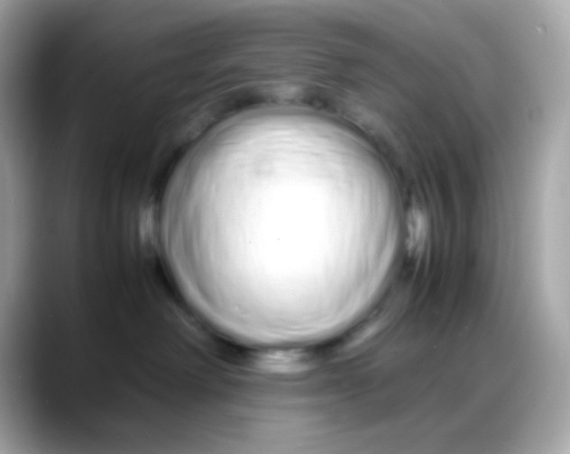 X0000088130238200706041955