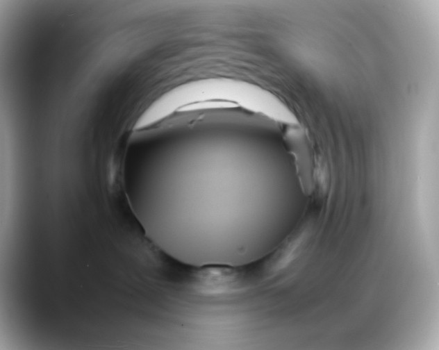 X0000088130239200706041955