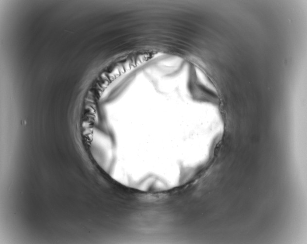 X0000088130241200706041954