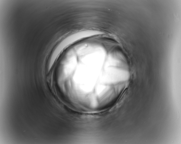 X0000088130242200706041954