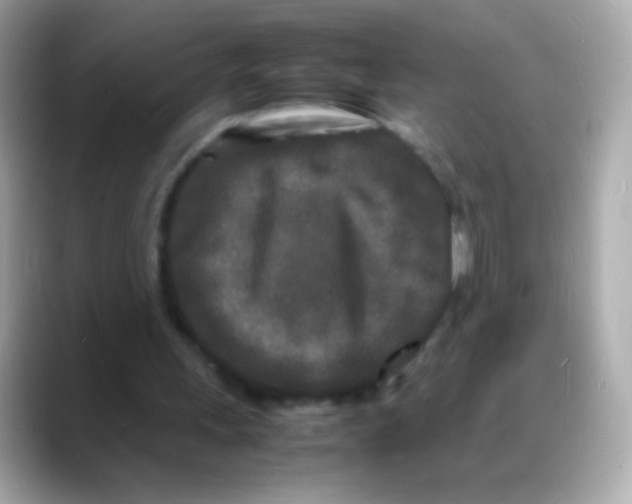 X0000088130243200706041954