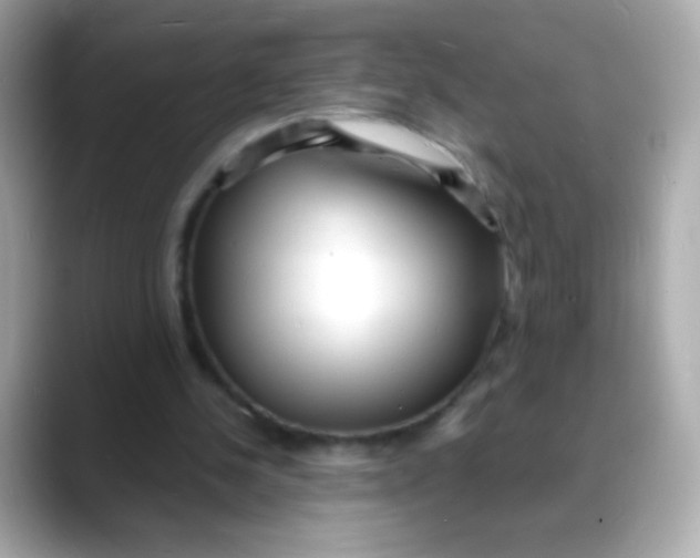 X0000088130244200706041954