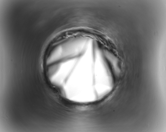 X0000088130246200706041954