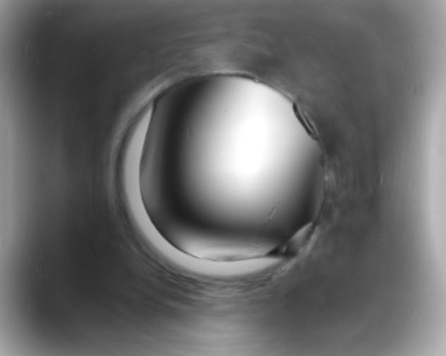 X0000088130248200706041954