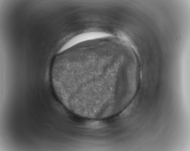 X0000088130249200706041954