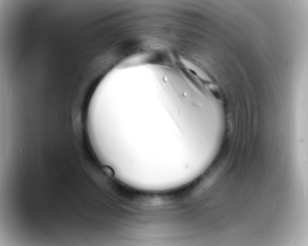 X0000088130254200706041954