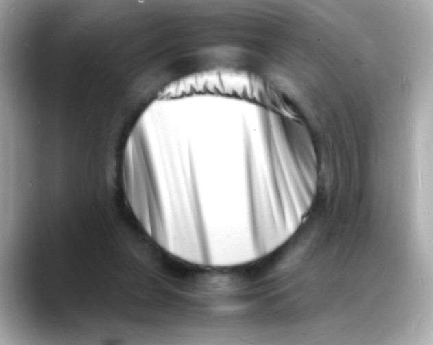 X0000088130255200706041954