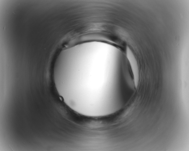 X0000088130256200706041954