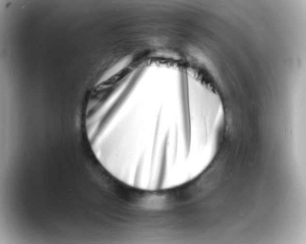 X0000088130257200706041954