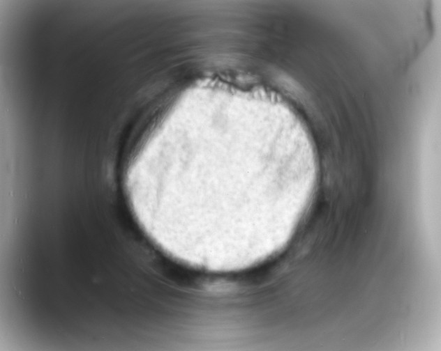 X0000088130258200706041954