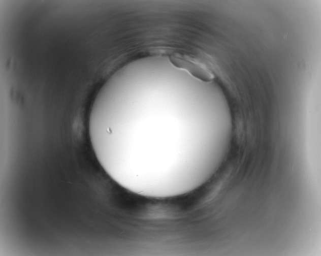 X0000088130259200706041954