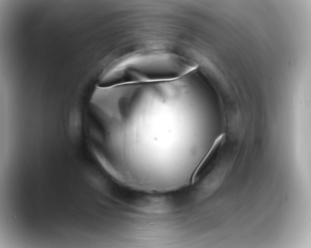 X0000088130260200706041954