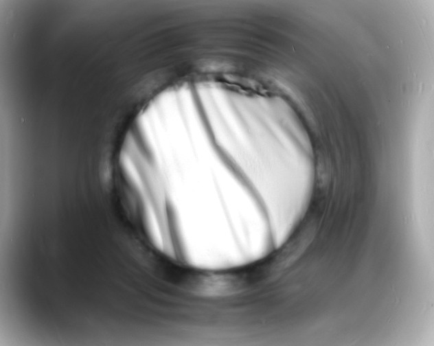 X0000088130261200706041954