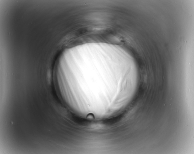 X0000088130262200706041954