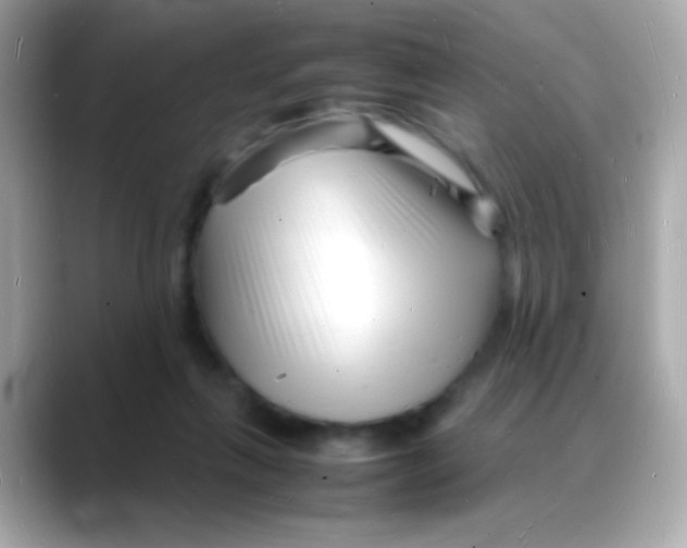 X0000088130263200706041954