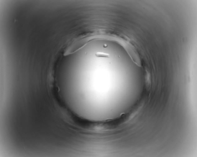 X0000088130264200706041954