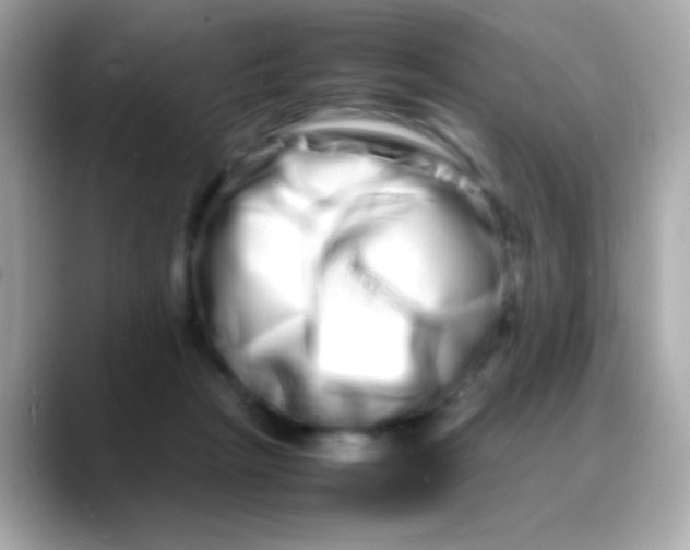 X0000088130265200706041954