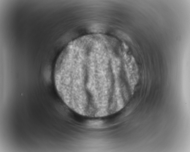 X0000088130266200706041954