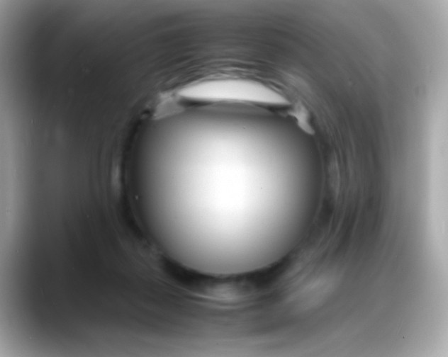 X0000088130267200706041954