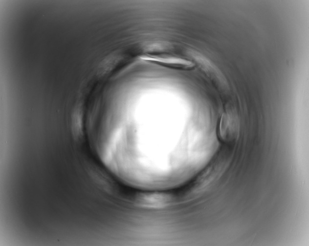 X0000088130268200706041954