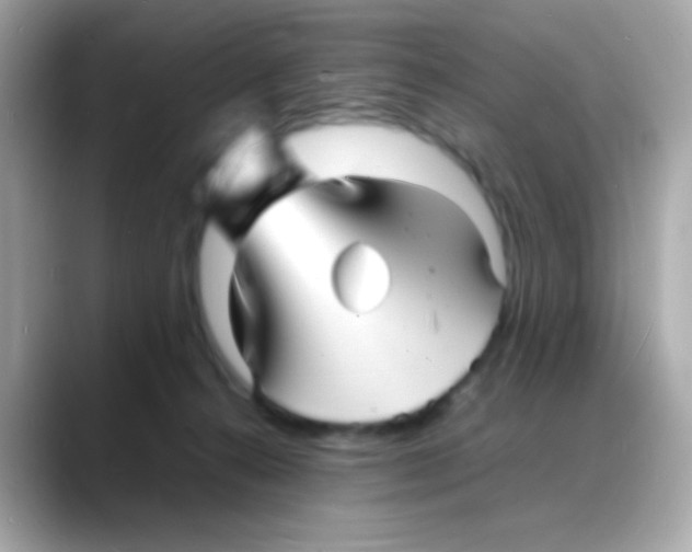 X0000088130272200706041955