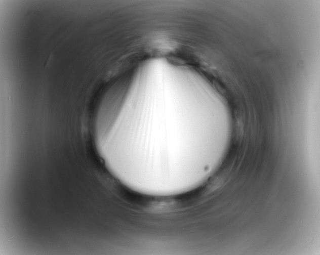 X0000088130274200706041955