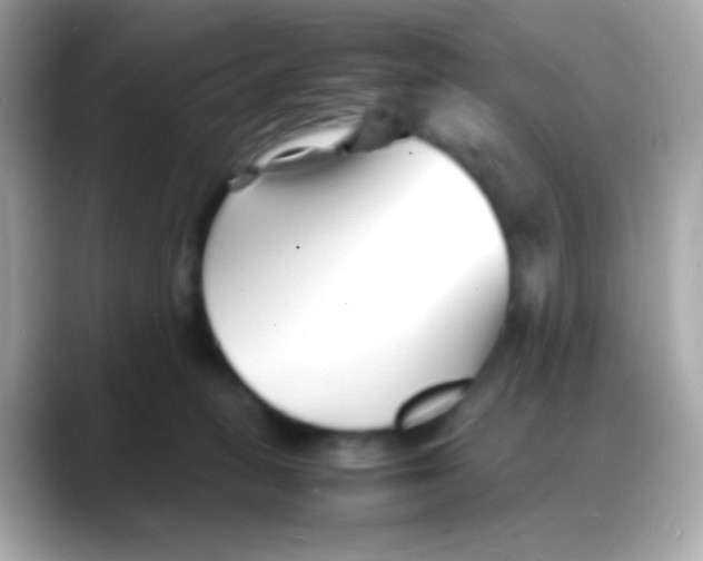 X0000088130275200706041955