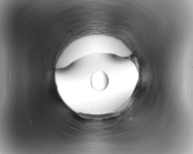 X0000088130276200706041955