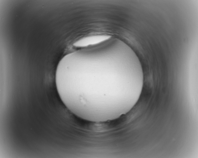 X0000088130277200706041955