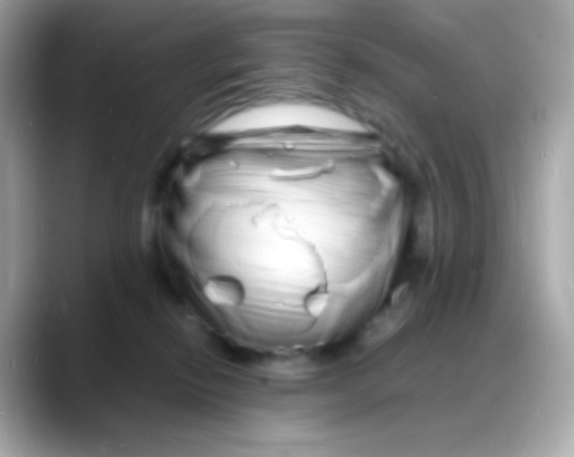 X0000088130278200706041955