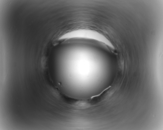 X0000088130280200706041955